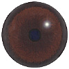 p646129