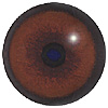 p646129