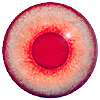 p646129