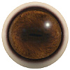 p646129