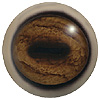 p646129