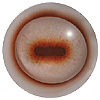 p646129