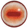 p646129