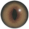 p646129