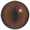 p646129