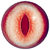 p646129