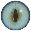 p646129