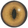 p646129