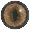 p646129
