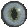 p646129