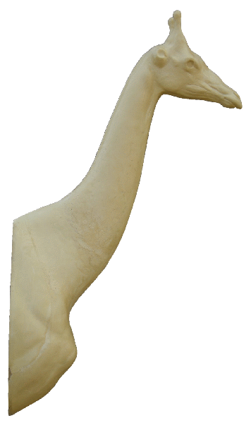 p646129