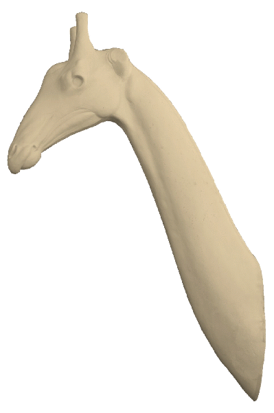 p646129
