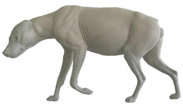 p646129
