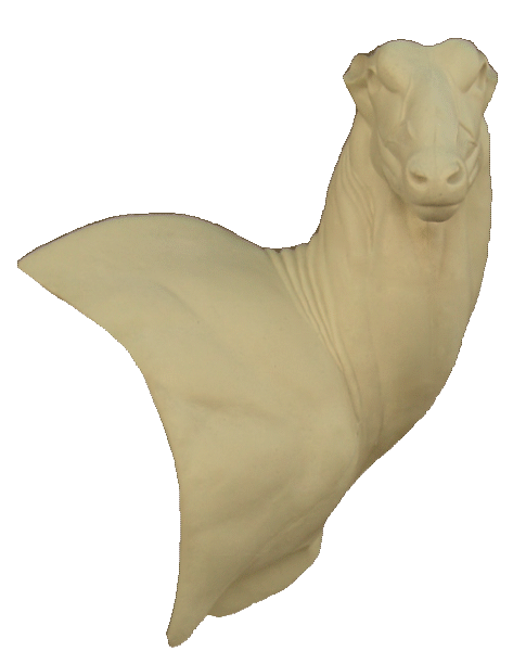 p646129