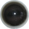 p646129