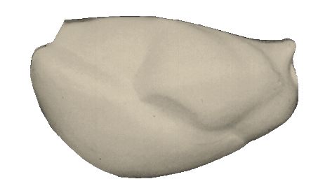 p646129