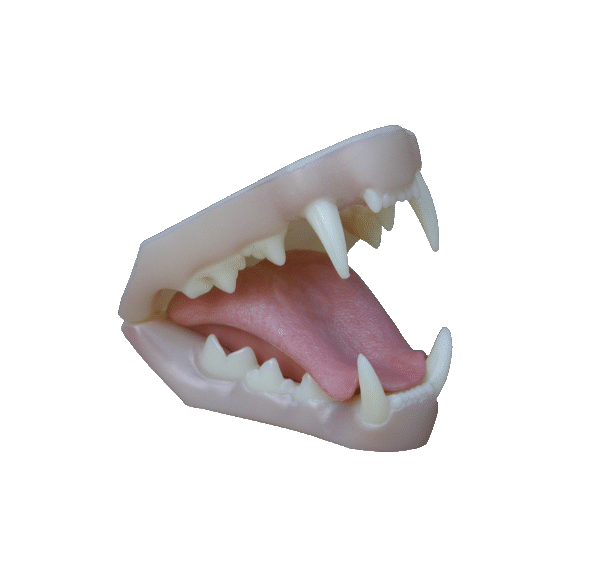 p646129