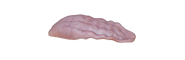 p646129