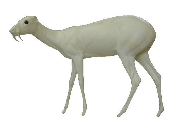 p646129