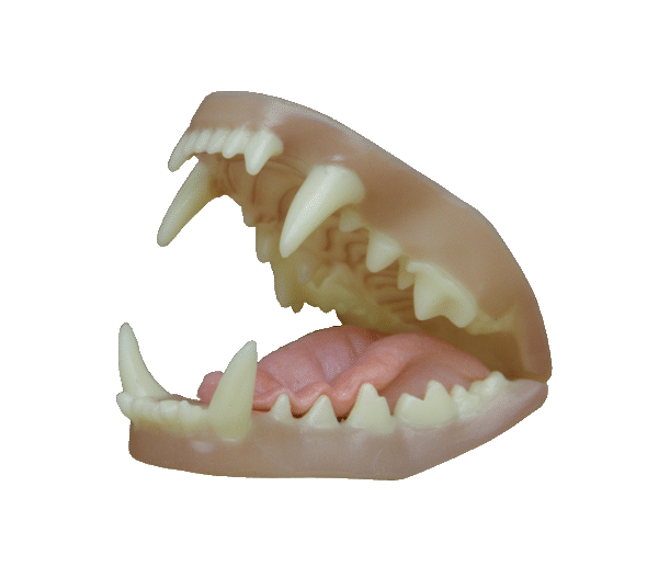 p646129