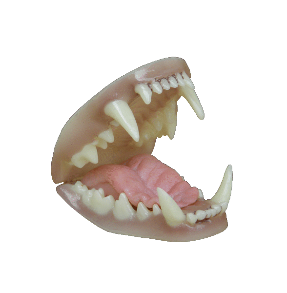 p646129