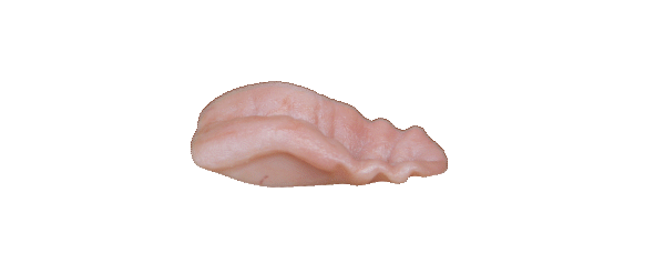 p646129