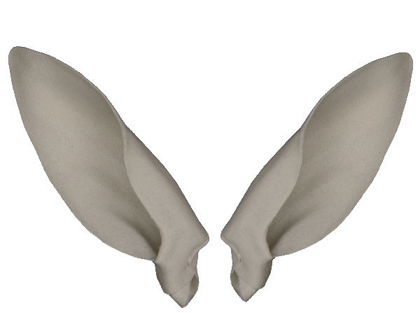 p646129