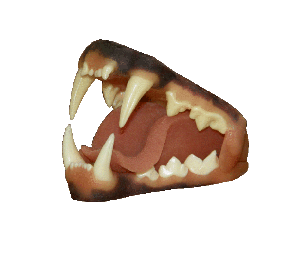 p646129