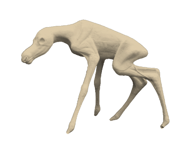 p646129