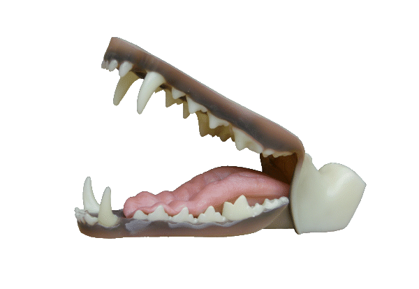 p646129