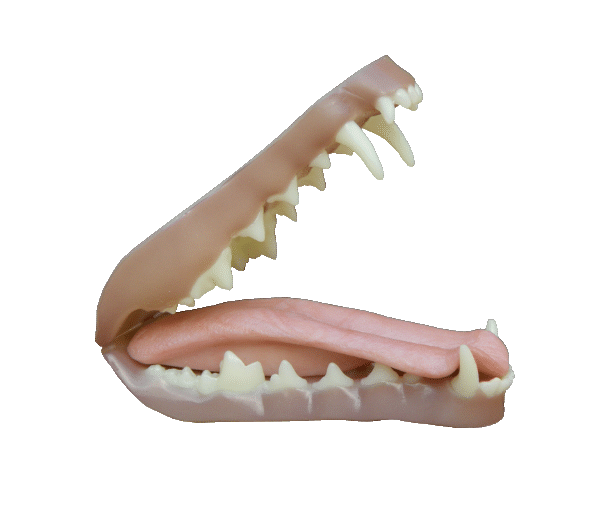 p646129