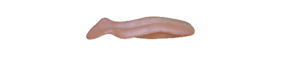 p646129