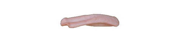 p646129