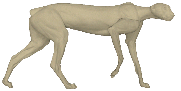 p646129