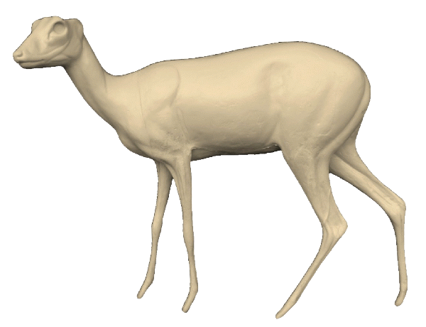 p646129