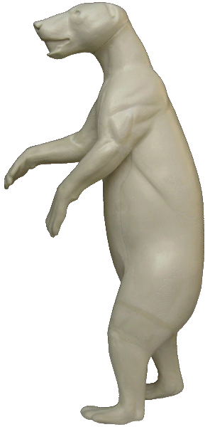 p646129