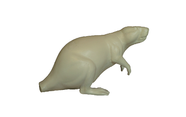 p646129