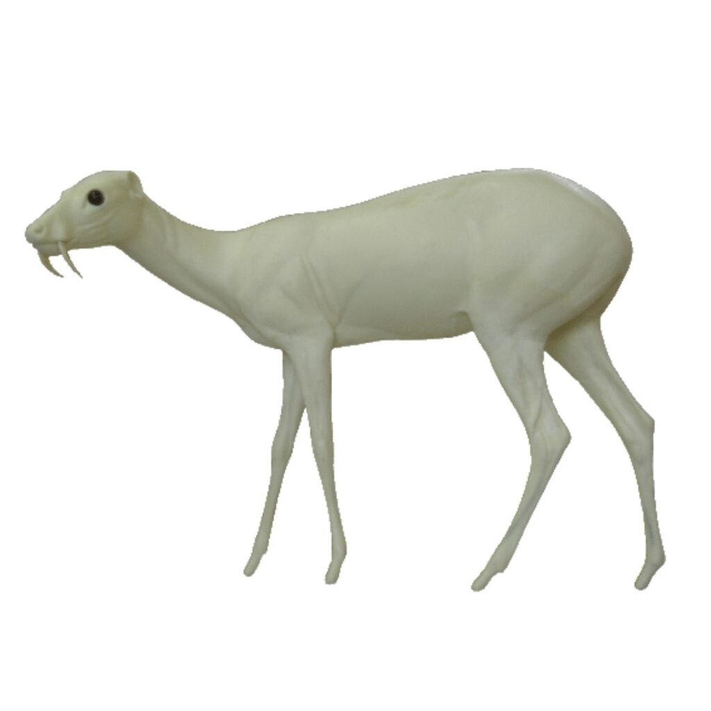 p646129