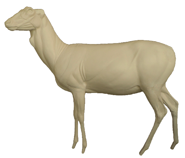 p646129