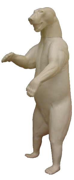 p646129