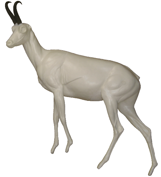 p646129