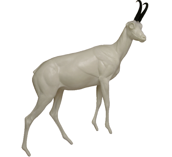 p646129