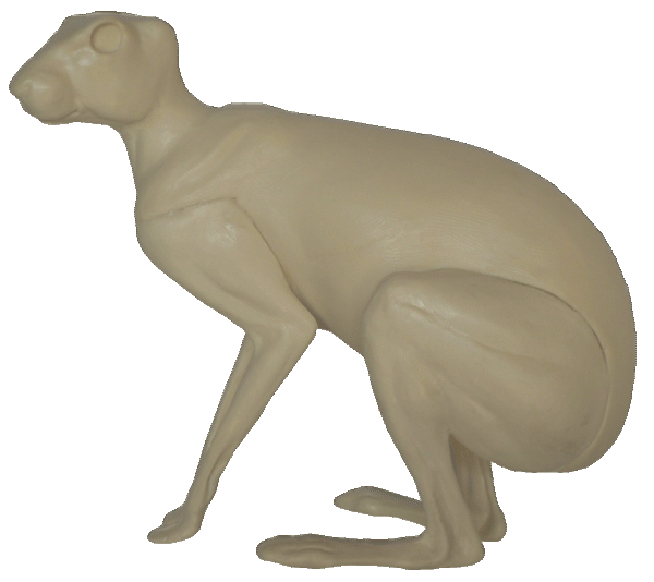 p646129