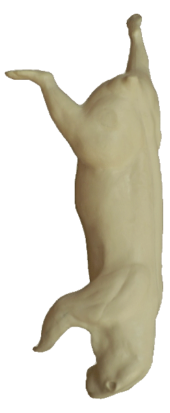 p646129