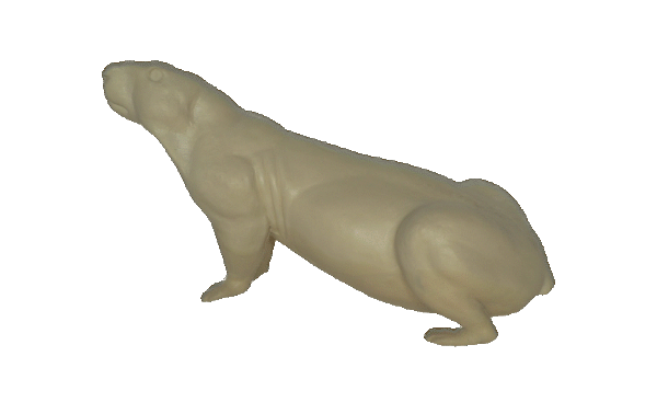 p646129