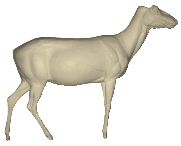 p646129