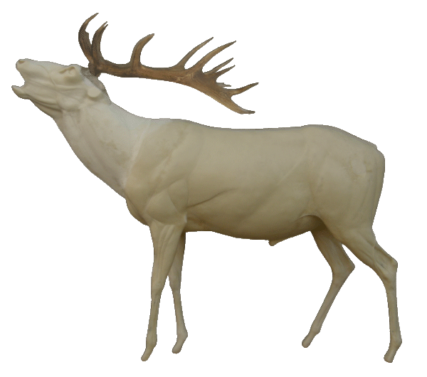 p646129