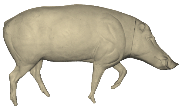 p646129