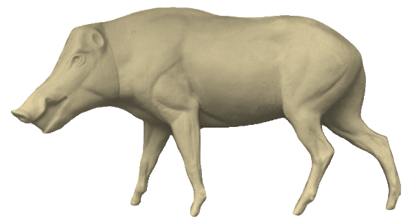 p646129