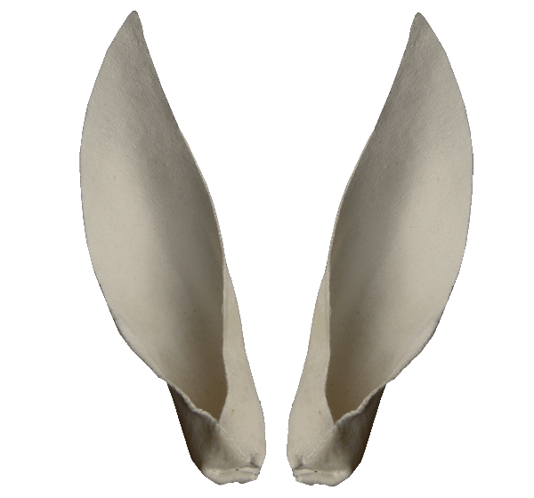 p646129